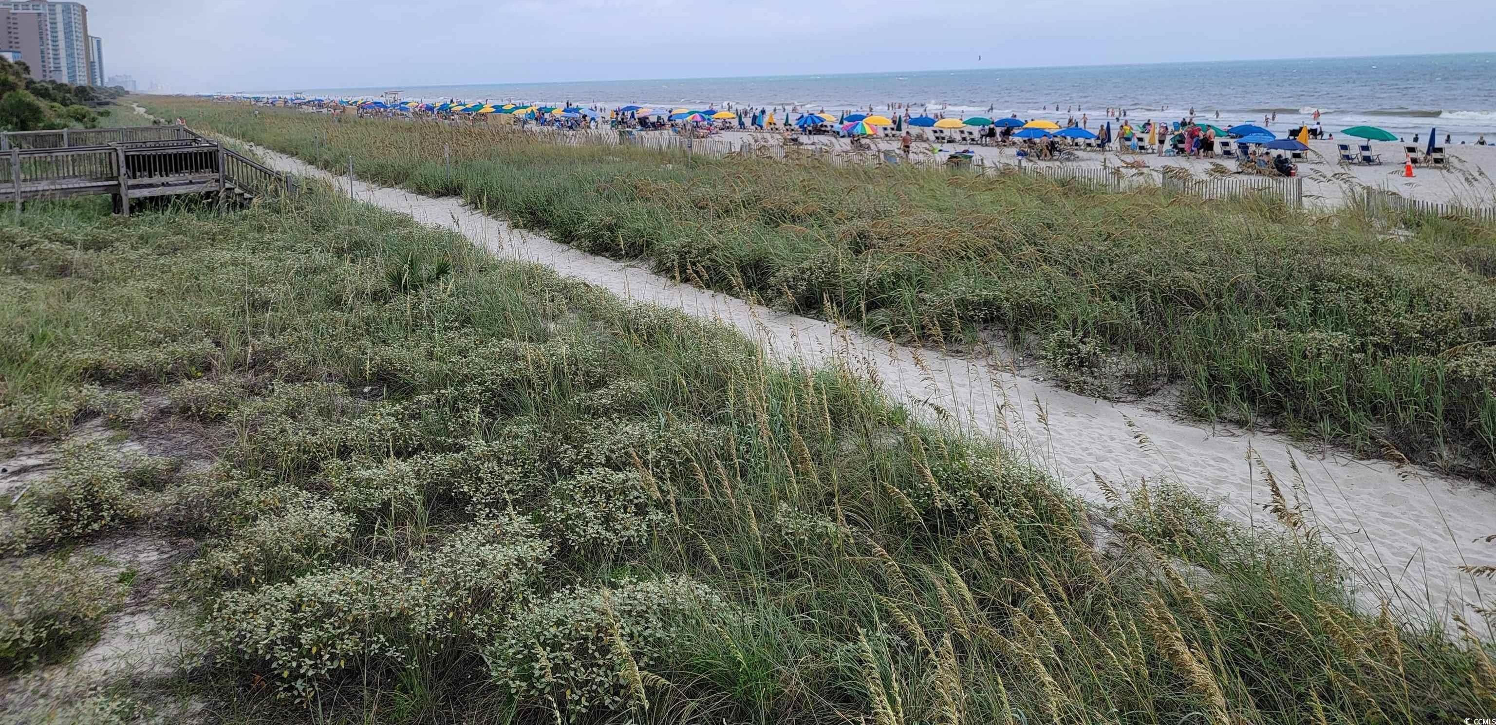 Photo #33