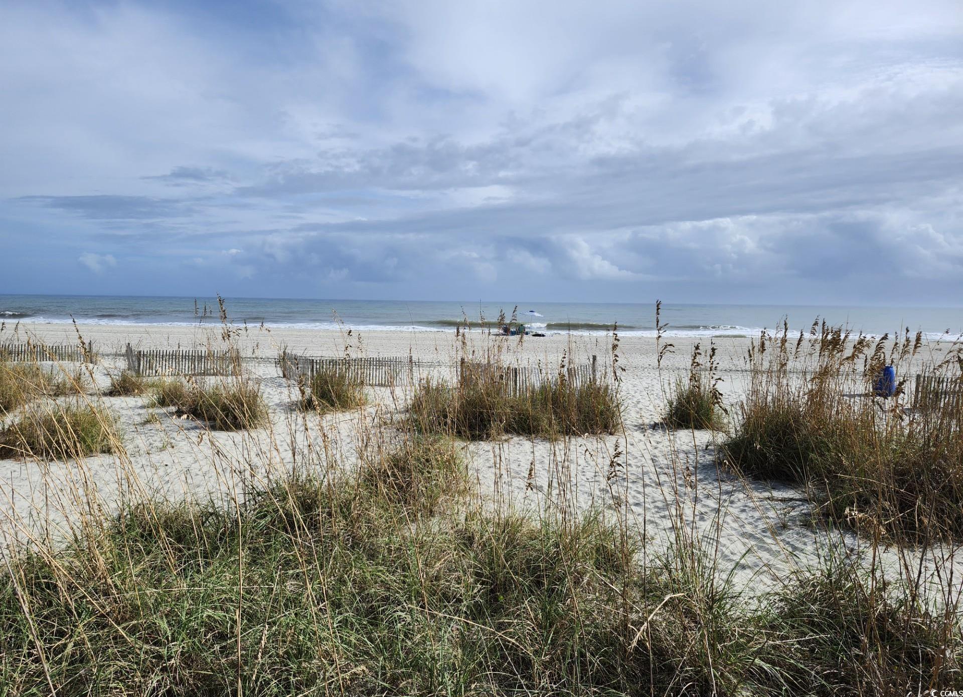 Photo #35