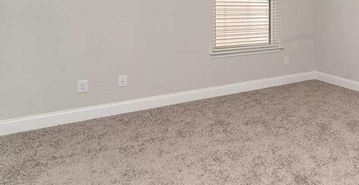 Photo #24