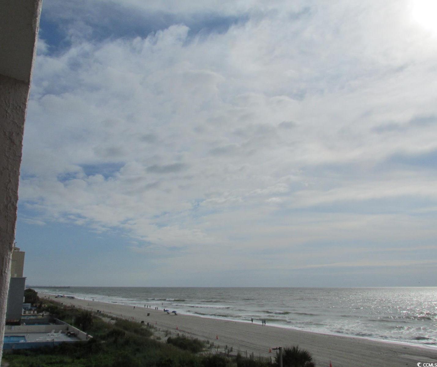 Photo #19