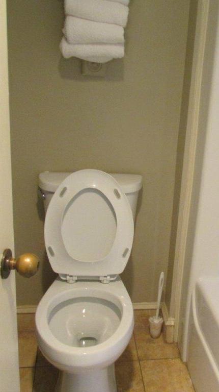 Photo #12