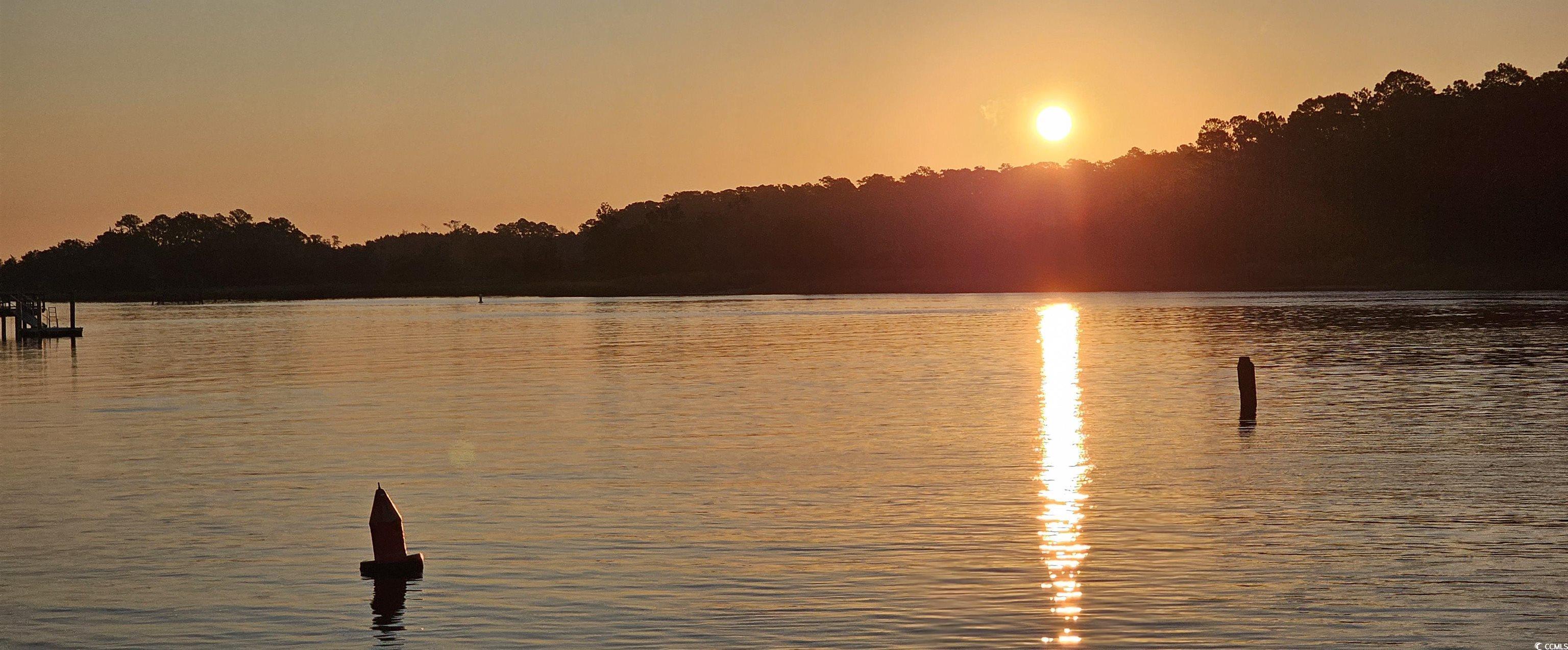 Photo #31