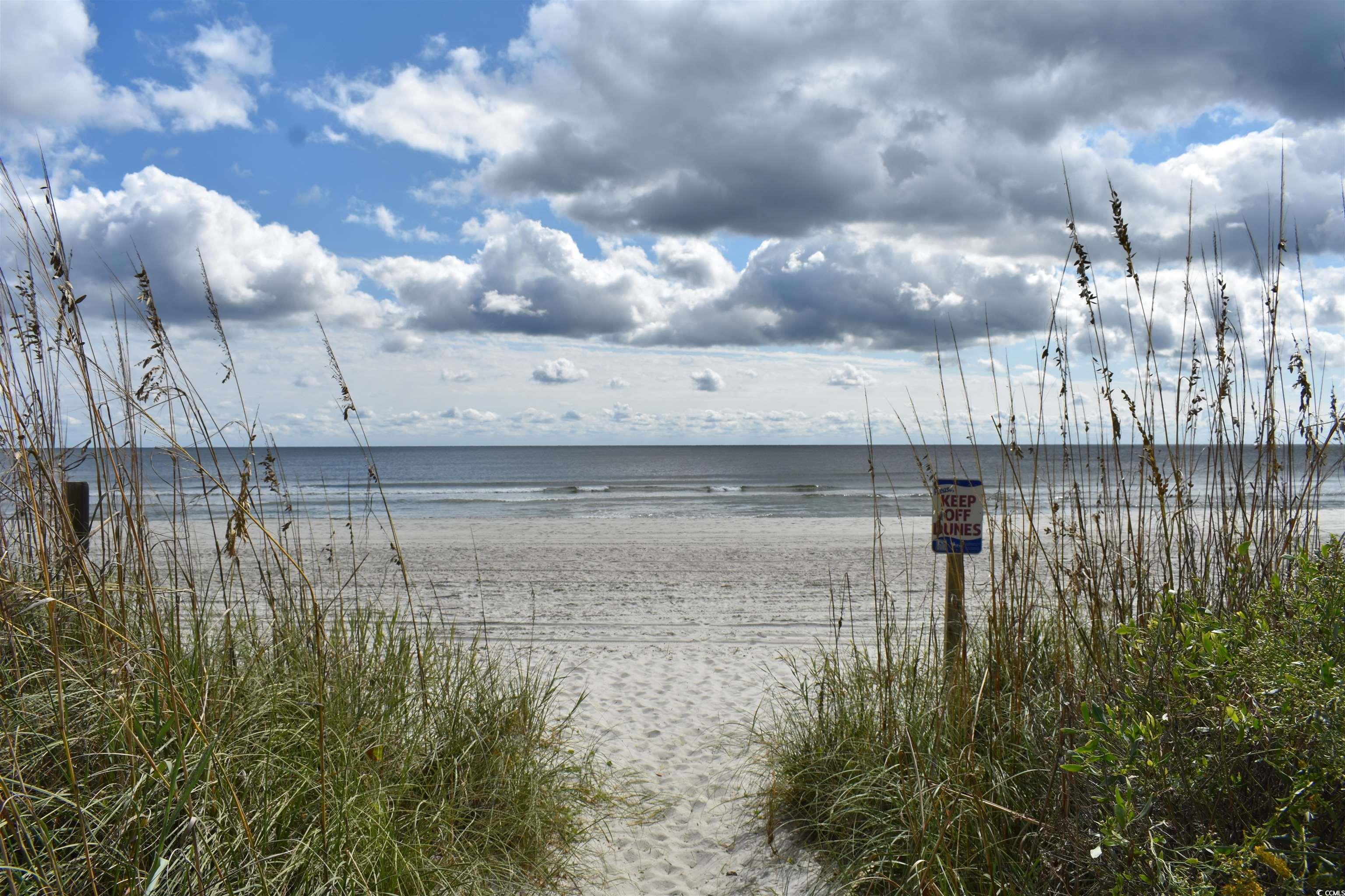 Photo #32
