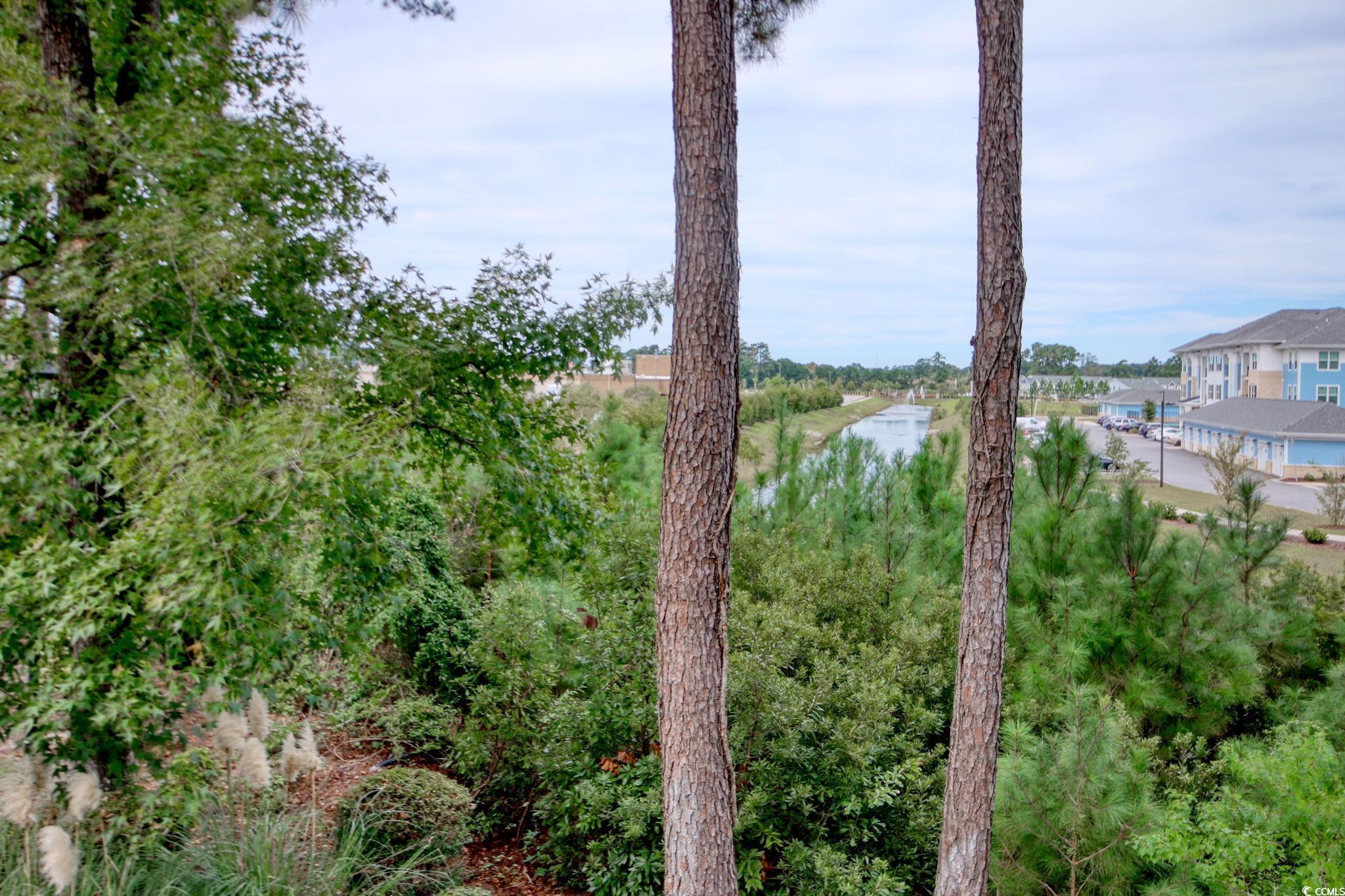 Photo #18
