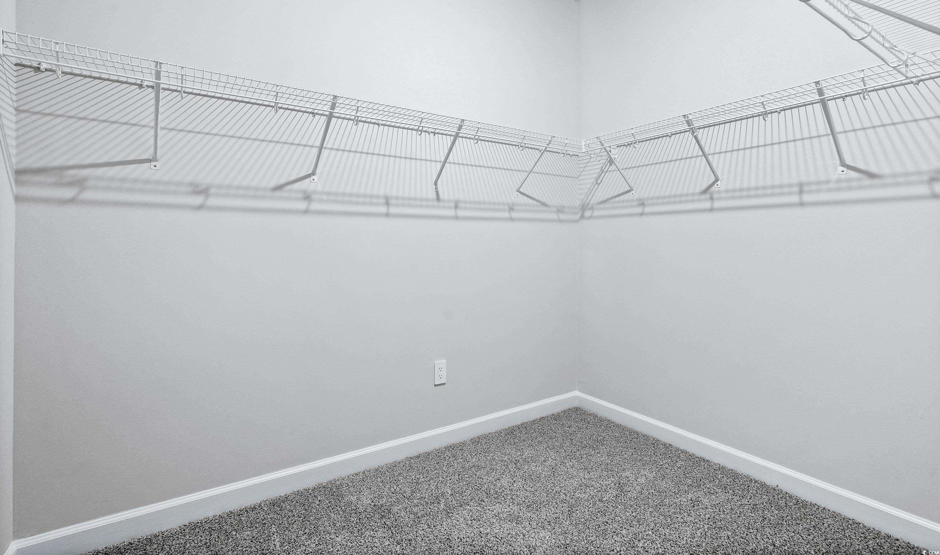 Photo #19