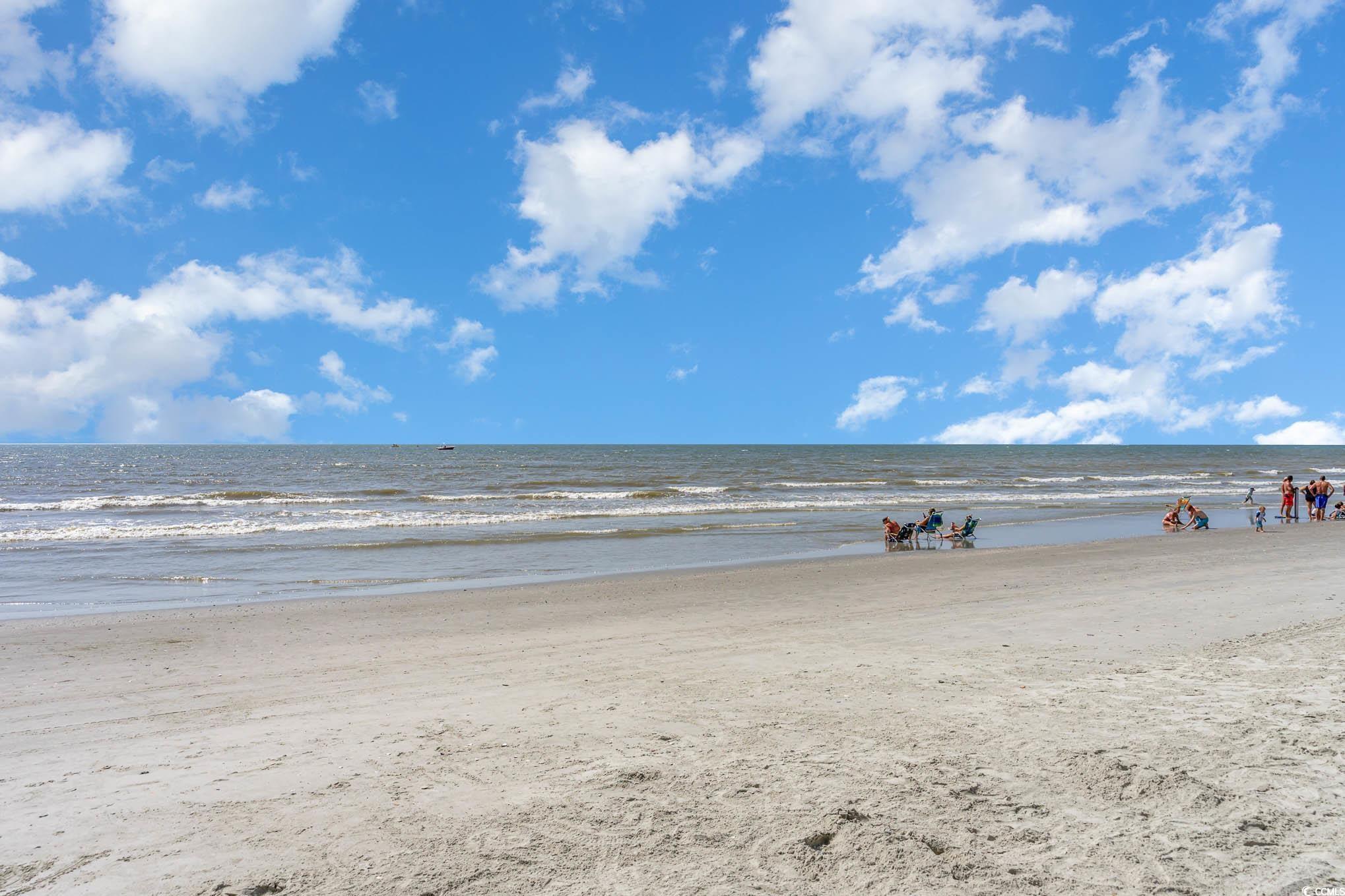 Photo #37