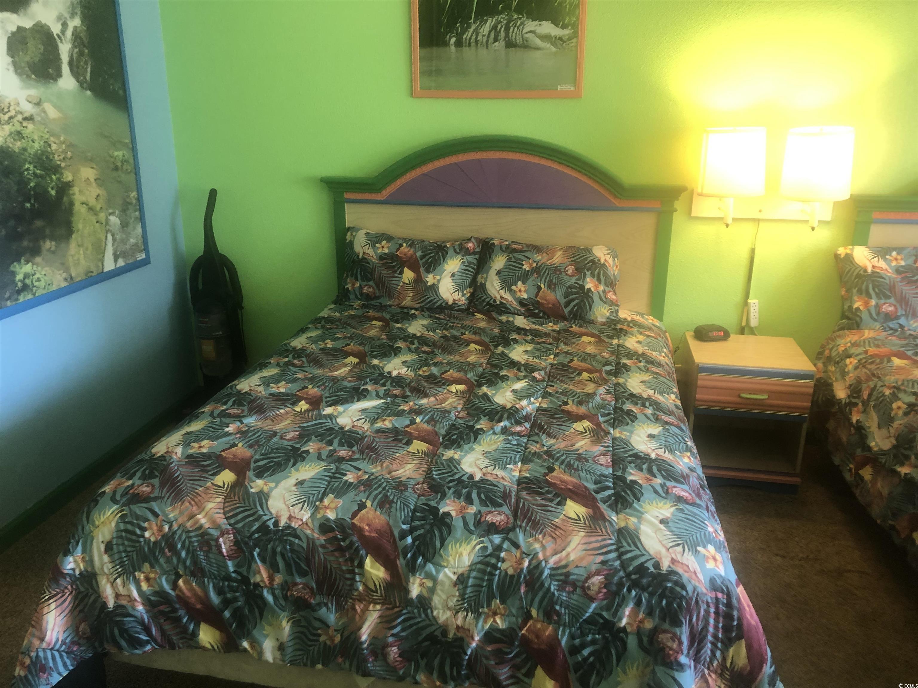 Photo #12