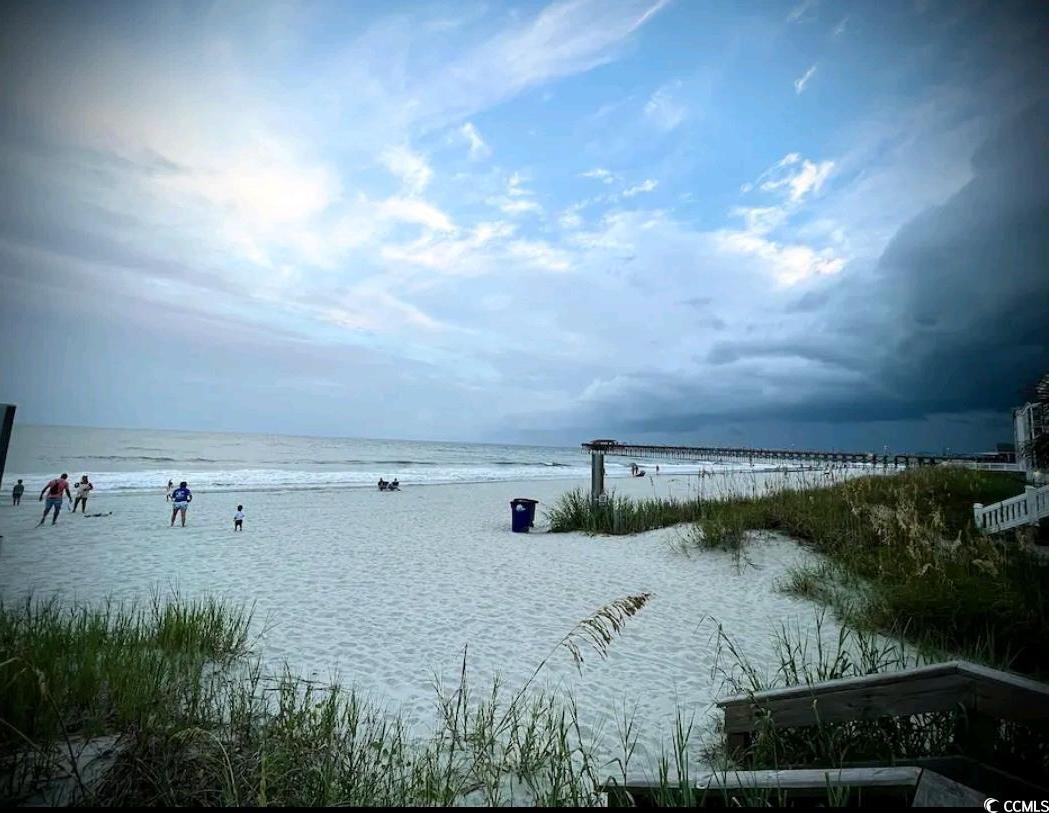 Photo #19