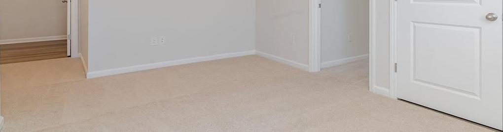 Photo #8