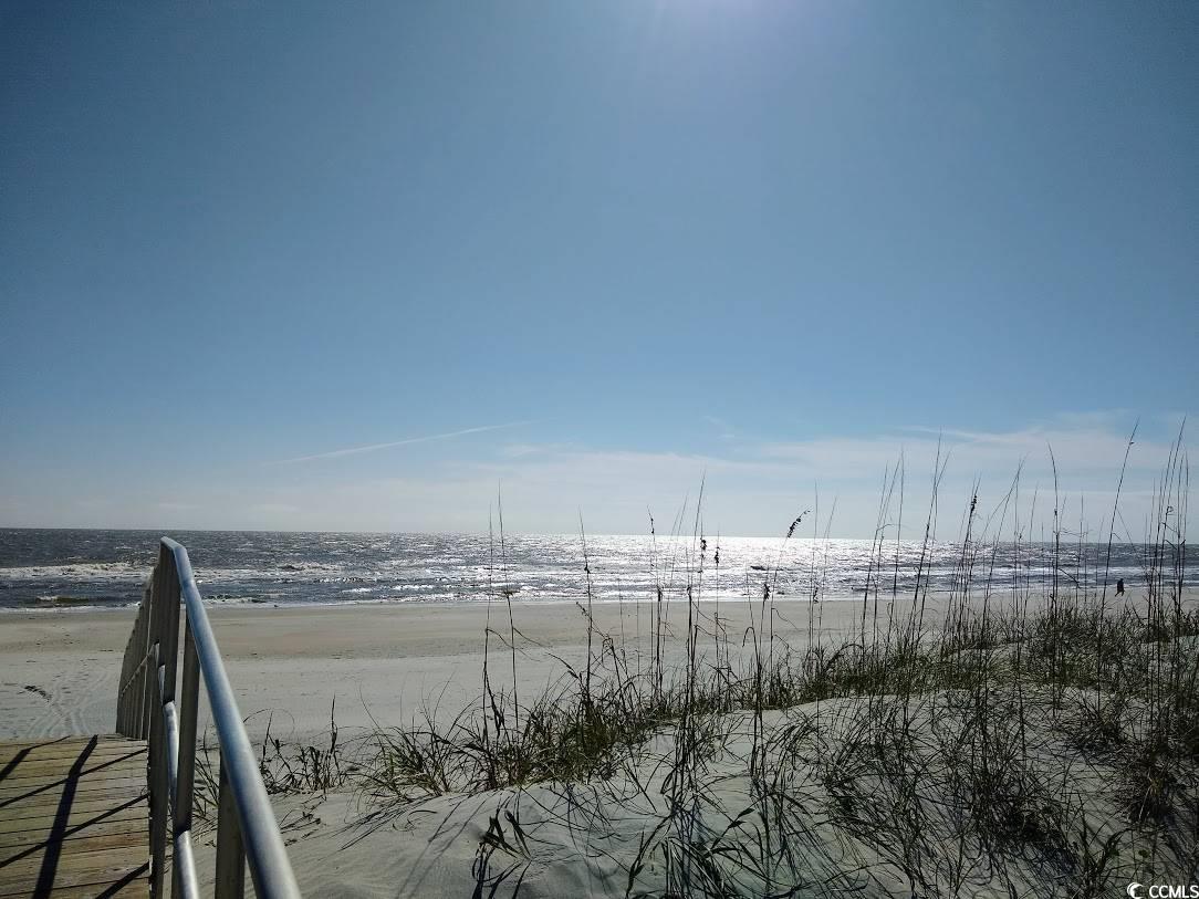Photo #23