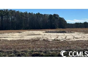 Photo one of 6732 Highway 366 Conway SC 29526 | MLS 2400974