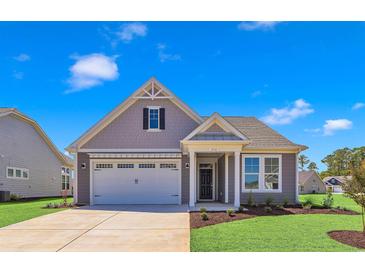 Charming house with gray siding, white trim, and a two-car garage at 1216 Colusa Ct., Little River, SC 29566