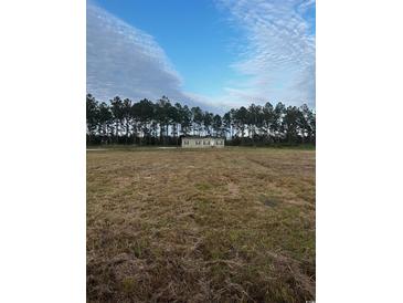 Aerial view of a single-wide manufactured home on a large lot with mature trees at 8750 W Highway 19, Loris, SC 29569