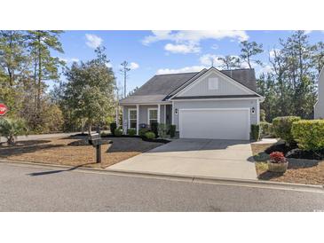 Gray house with a two-car garage and landscaping at 301 Climbing Vine Ct., Conway, SC 29526