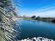 Peaceful pond with fountain, palm trees, and landscaping at 5905 S Kings Hwy. # 337B, Myrtle Beach, SC 29575