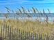 Scenic view of the ocean through beach grass at 5905 S Kings Hwy. # 337B, Myrtle Beach, SC 29575