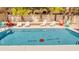Inviting pool with colorful chairs and Sand Dollar design at 510 Hillside Dr. S, North Myrtle Beach, SC 29582