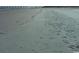 Tranquil beach scene with pier in the distance at 101 Greenwich Dr., Georgetown, SC 29440