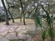 Neatly landscaped community with mature trees and well-maintained grounds at 178 Salt Marsh Circle # 30F, Pawleys Island, SC 29585