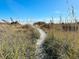 Sandy beach path through natural dune vegetation at 5600 N Ocean Blvd. # C2, North Myrtle Beach, SC 29582