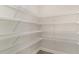 Walk-in pantry with wire shelving offers convenient and ample storage at 133 Fair Meadow Ct., Loris, SC 29569