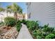 Landscaped side yard with a stone pathway at 5001 N Ocean Blvd. # 3-E, North Myrtle Beach, SC 29582