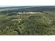 Aerial view of a residential development surrounded by lush greenery at 137 Six Mile Creek Dr., Georgetown, SC 29440