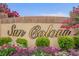 Community entrance sign with landscaping, indicating the name Sun Colony at 242 Sun Colony Blvd. # 101, Longs, SC 29568
