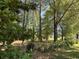 Wooded side yard with a chain link fence and lush greenery at 4155 Pinewood Dr., Mullins, SC 29574