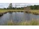 Picturesque pond with tall grasses at 1409 Arbor Rd., Loris, SC 29569