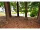 View of a pond surrounded by lush green trees at 1065 Pinwheel Loop # 1065, Myrtle Beach, SC 29577