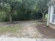 Backyard with mature trees, patchy grass, and some mulch at 3609 White Oleander Ct., North Myrtle Beach, SC 29582