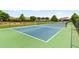 Two well-maintained outdoor pickleball courts at 444 Papyrus Circle # 444, Little River, SC 29566