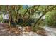 House exterior showcasing lush landscaping and a walkway at 496 Myrtle Ave., Pawleys Island, SC 29585