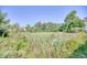 Vacant lot with tall grass and trees at 4103 Pinehurst Circle # Bb-12, Little River, SC 29566