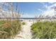 Beach access path through tall grass leading to the ocean at 4305 S Ocean Blvd. # 106, North Myrtle Beach, SC 29582