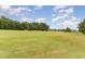 Scenic golf course view with lush green fairways at 355 Foxtail Dr., Longs, SC 29568