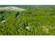 Aerial view of house surrounded by lush greenery at 3758 Loblolly Ave., Little River, SC 29566