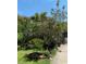Landscaped front yard with mature trees and shrubs at 334 Norris Dr., Pawleys Island, SC 29585