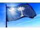 South Carolina state flag waving in the breeze at Tbb1 Shady Grove Rd., Conway, SC 29527