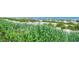 Beach access with lush grasses and dunes at 1105 S Ocean Blvd. # 1044, Myrtle Beach, SC 29577