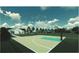 Community basketball court with teal accents at 6060 Zoe Way, Myrtle Beach, SC 29588