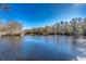 Scenic view of a tranquil river with lush trees at 7018 Cox Lake Ct., Mullins, SC 29574