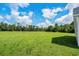 Spacious backyard with lush green grass and mature trees at 1174 St. John Rd., Galivants Ferry, SC 29544