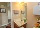 Guest bathroom with single sink and medicine cabinet at 333 Carolina Springs Ct., Conway, SC 29527