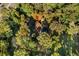Aerial view showing house, pool, and surrounding trees at 19 South Gate Rd., Myrtle Beach, SC 29572
