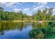 Peaceful pond with lush greenery and trees at 893 Barn Owl Ct. # 893, Myrtle Beach, SC 29579