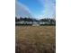 Aerial view of a single-wide manufactured home on a large lot with mature trees at 8750 W Highway 19, Loris, SC 29569