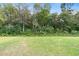 Large backyard with lush trees and grassy area at 338 Spruce Pine Way, Conway, SC 29526