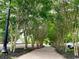 Lush tree-lined walkway in a community setting at 332 Kiskadee Loop # L, Conway, SC 29526
